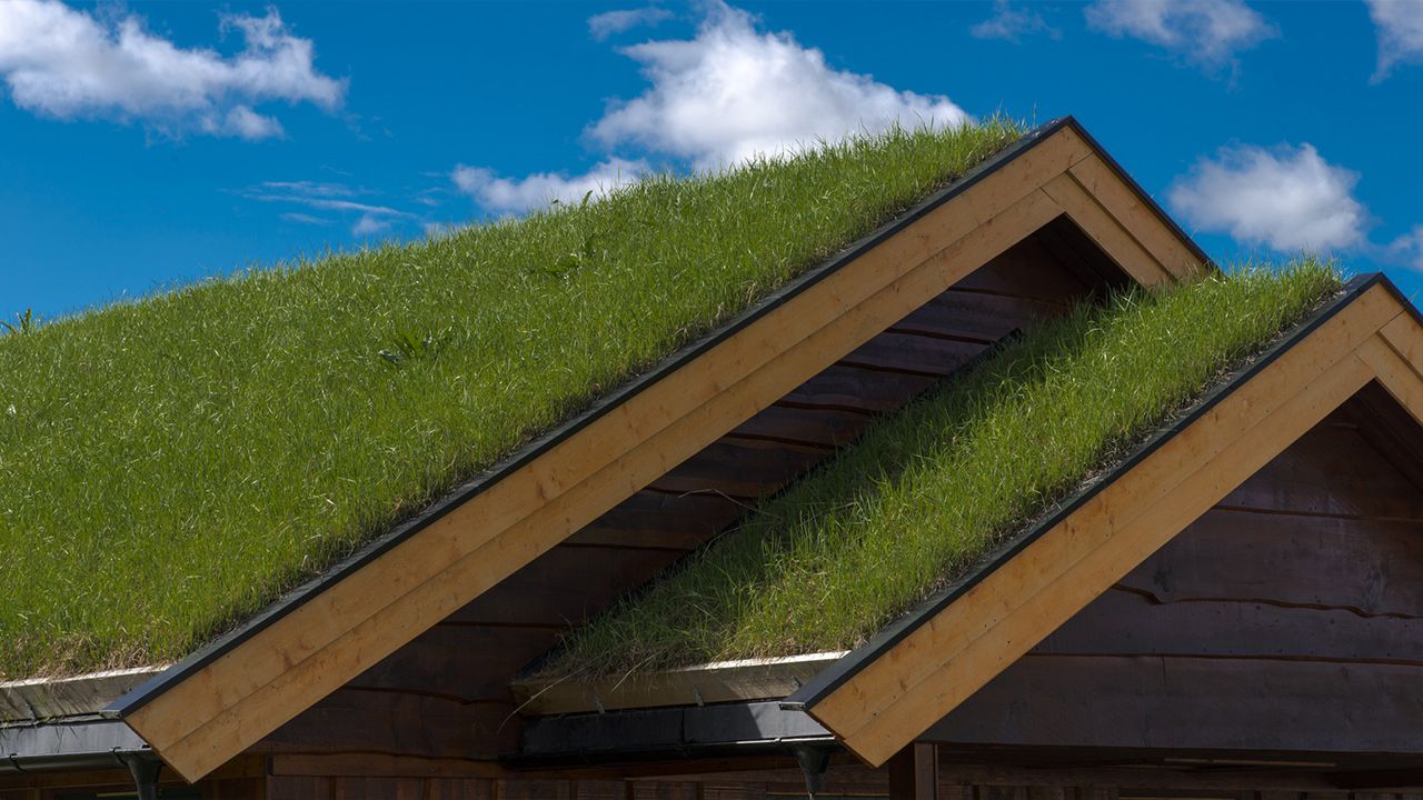 Roofing Designs and a Brief History-sod